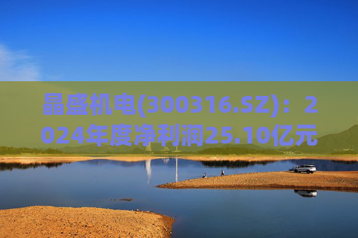晶盛机电(300316.SZ)：2024年度净利润25.10亿元 拟10派4元  第1张