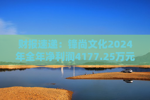 财报速递：锋尚文化2024年全年净利润4177.25万元  第1张