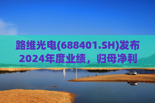 路维光电(688401.SH)发布2024年度业绩，归母净利润1.91亿元，同比增长28.27%