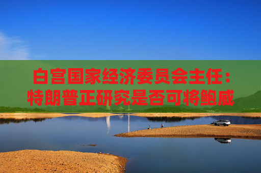 白宫国家经济委员会主任：特朗普正研究是否可将鲍威尔解职  第1张