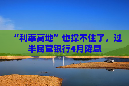 “利率高地”也撑不住了，过半民营银行4月降息  第1张