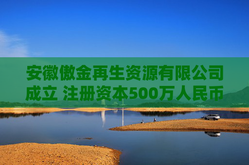 安徽傲金再生资源有限公司成立 注册资本500万人民币