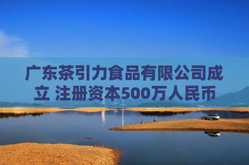 广东茶引力食品有限公司成立 注册资本500万人民币