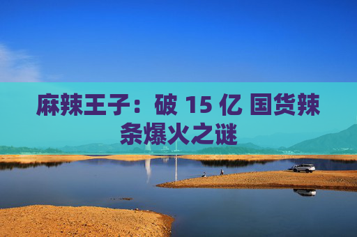 麻辣王子：破 15 亿 国货辣条爆火之谜