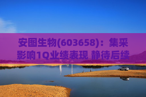 安图生物(603658)：集采影响1Q业绩表现 静待后续恢复