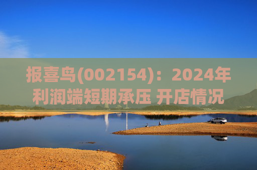 报喜鸟(002154)：2024年利润端短期承压 开店情况符合预期  第1张
