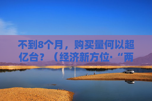 不到8个月，购买量何以超亿台？（经济新方位·“两新”政策发力显效）