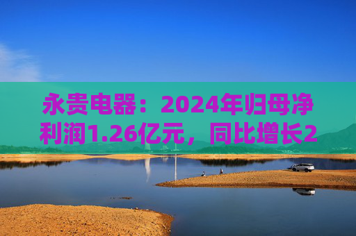 永贵电器：2024年归母净利润1.26亿元，同比增长24.47%  第1张