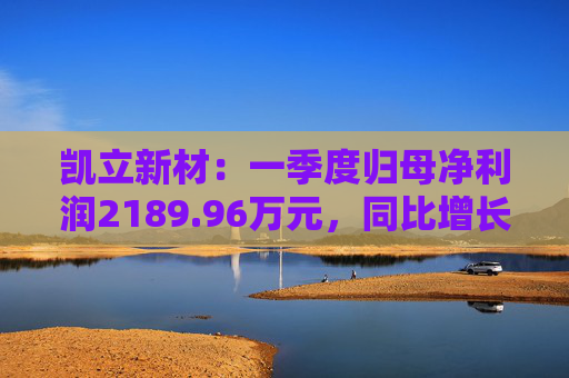 凯立新材：一季度归母净利润2189.96万元，同比增长90.48%  第1张