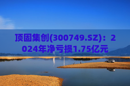 顶固集创(300749.SZ)：2024年净亏损1.75亿元