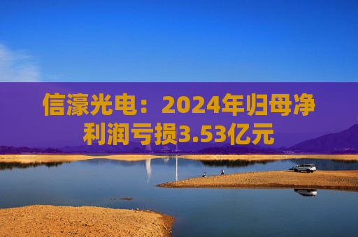 信濠光电：2024年归母净利润亏损3.53亿元