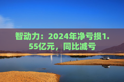 智动力：2024年净亏损1.55亿元，同比减亏  第1张