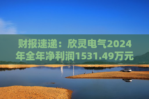 财报速递：欣灵电气2024年全年净利润1531.49万元  第1张