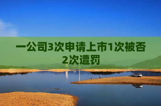 一公司3次申请上市1次被否2次遭罚  第1张