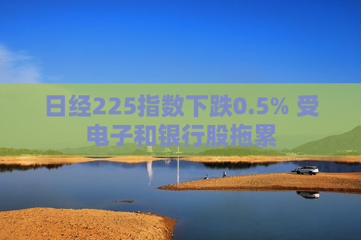 日经225指数下跌0.5% 受电子和银行股拖累