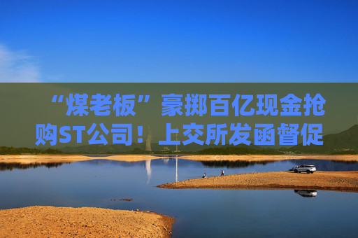 “煤老板”豪掷百亿现金抢购ST公司！上交所发函督促信披义务  第1张