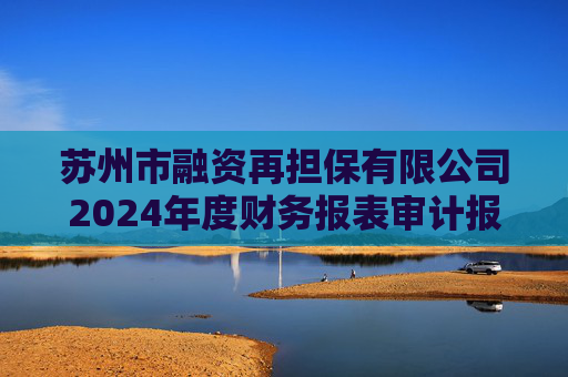 苏州市融资再担保有限公司2024年度财务报表审计报告（担保人财务报告）