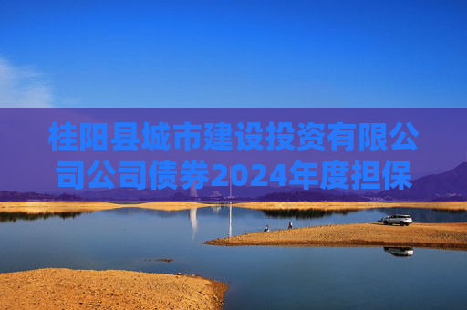 桂阳县城市建设投资有限公司公司债券2024年度担保人财务报告及附注（重庆三峡融资担保集团股份有限公司）
