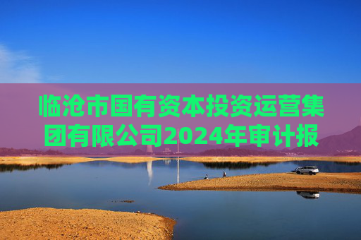 临沧市国有资本投资运营集团有限公司2024年审计报告