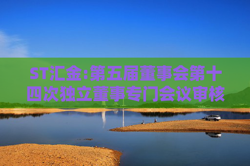 ST汇金:第五届董事会第十四次独立董事专门会议审核意见