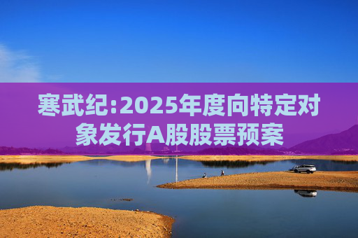 寒武纪:2025年度向特定对象发行A股股票预案