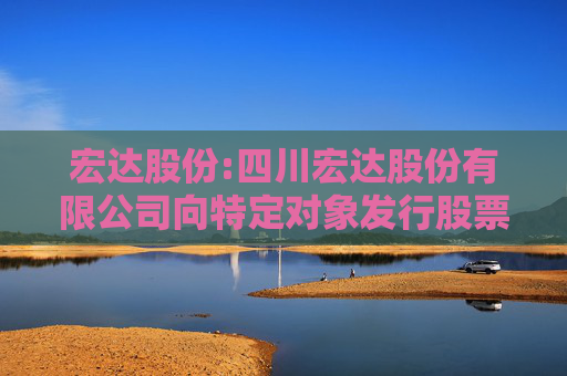 宏达股份:四川宏达股份有限公司向特定对象发行股票募集说明书（申报稿）（修订稿）