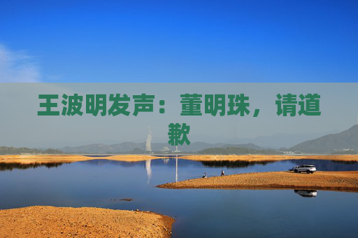 王波明发声：董明珠，请道歉