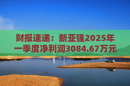 财报速递：新亚强2025年一季度净利润3084.67万元