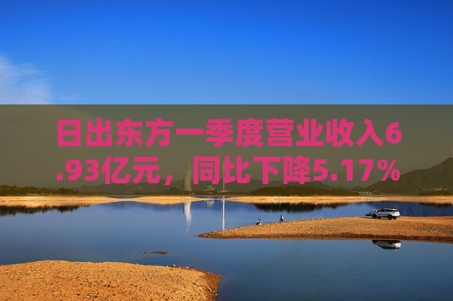 日出东方一季度营业收入6.93亿元，同比下降5.17%