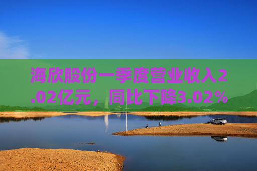 海欣股份一季度营业收入2.02亿元，同比下降3.02%