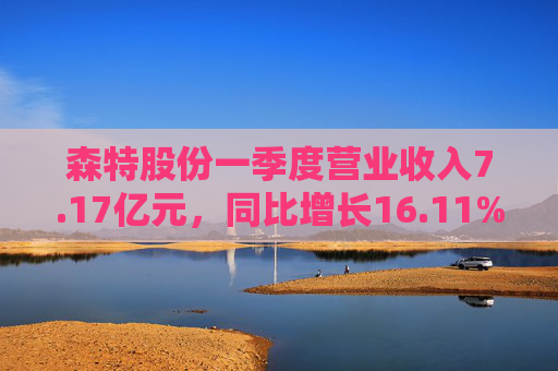 森特股份一季度营业收入7.17亿元，同比增长16.11%