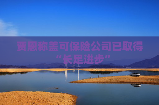 贾恩称盖可保险公司已取得 “长足进步”