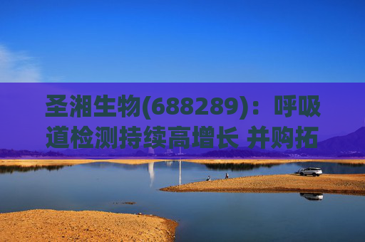 圣湘生物(688289)：呼吸道检测持续高增长 并购拓展成长边界
