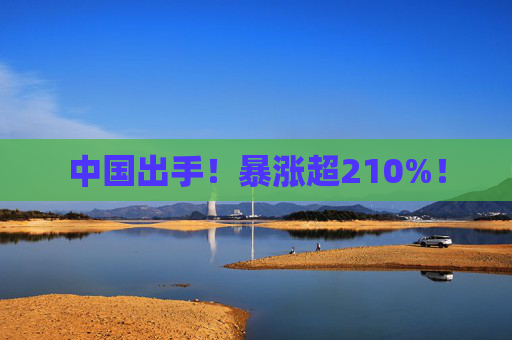 中国出手！暴涨超210%！