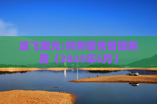 逸飞激光:财务报告管理制度（2025年5月）