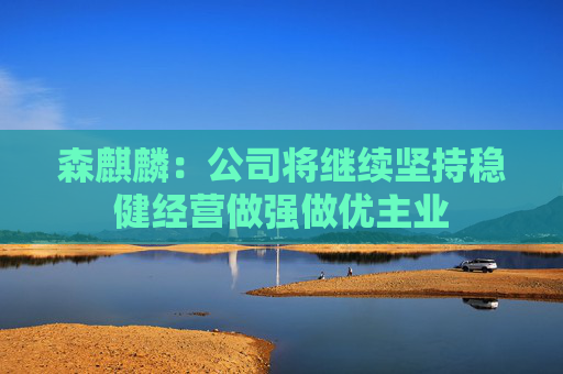 森麒麟：公司将继续坚持稳健经营做强做优主业