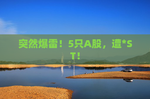 突然爆雷！5只A股，遭*ST！  第1张
