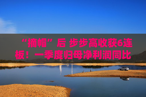 “摘帽”后 步步高收获6连板！一季度归母净利润同比增长近5倍  第1张