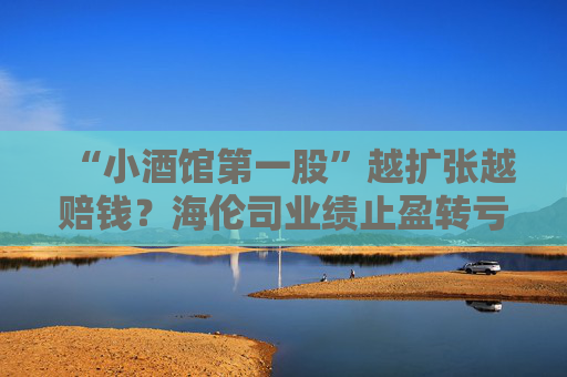 “小酒馆第一股”越扩张越赔钱？海伦司业绩止盈转亏