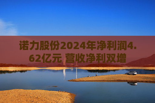 诺力股份2024年净利润4.62亿元 营收净利双增