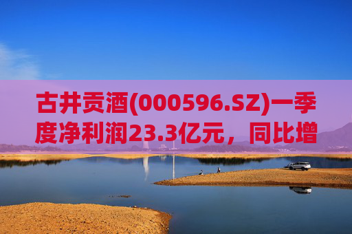古井贡酒(000596.SZ)一季度净利润23.3亿元，同比增长12.78%  第1张