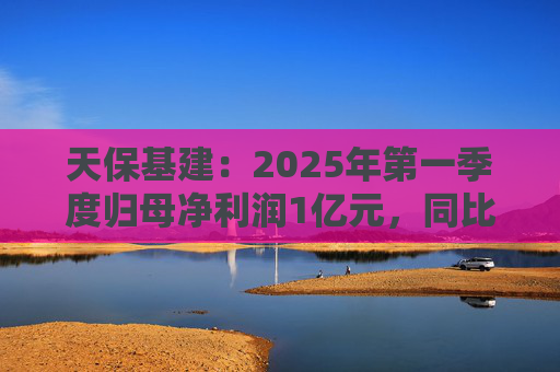 天保基建：2025年第一季度归母净利润1亿元，同比增长737.29%