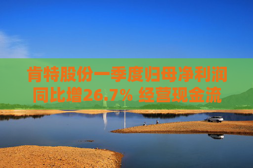 肯特股份一季度归母净利润同比增26.7% 经营现金流净额降17%