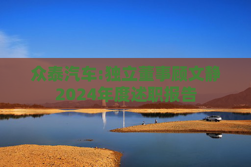 众泰汽车:独立董事顾文静2024年度述职报告