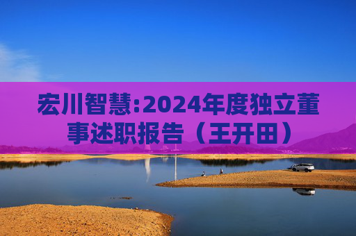 宏川智慧:2024年度独立董事述职报告（王开田）