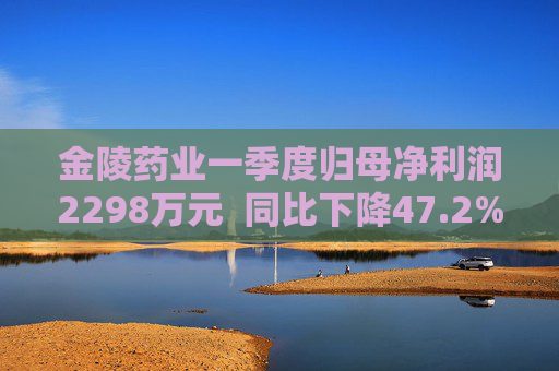 金陵药业一季度归母净利润2298万元  同比下降47.2%