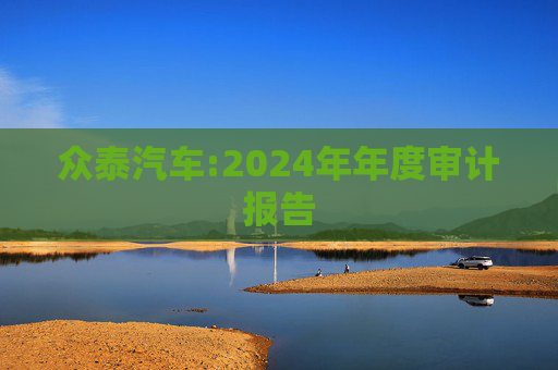 众泰汽车:2024年年度审计报告