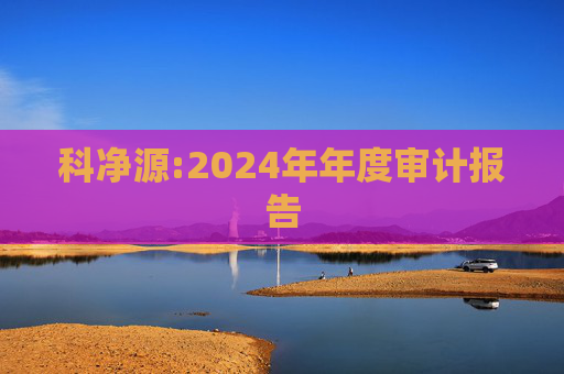 科净源:2024年年度审计报告