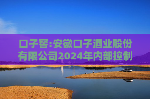 口子窖:安徽口子酒业股份有限公司2024年内部控制评价报告