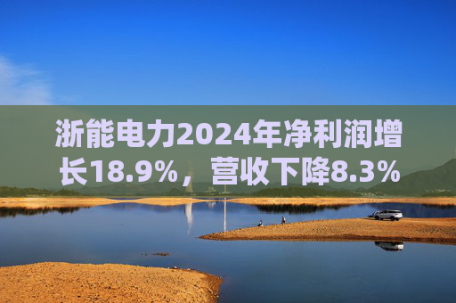 浙能电力2024年净利润增长18.9%，营收下降8.3%